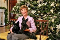 Laura Bush poses with Barney and Miss Beazley next to the White House Christmas Tree