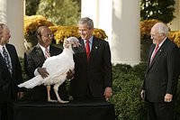 President George W. Bush and Vice President Dick Cheney participate in the annual pardoning of the National Turkey in the Rose Garden Nov. 17, 2004. This year's ceremony will take place on Tuesday, Nov. 22, 2005