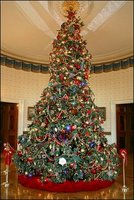 Official 2004 Christmas tree White House photo by Susan Sterner