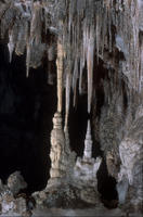 Carlsbad Caverns National Park was established to preserve Carlsbad Cavern and numerous other caves within the Guadalupe Mountains