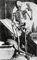  Anatomia humani corporis, Order Number A029213, Physical Desc. 1 print : engraving, Notes Old Negative no. 66-306 [Skeleton],