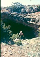 First discovered in the mid-1950s, Musk Ox Cave on BLM lands in New Mexico was still being surveyed and mapped several decades later. Cave explorers have found fascinating formations as well as numerous fossil vertebrates dating from the Late Pleistocene, some 1.5 million years ago. JIM GOODBAR, BLM