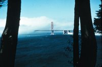 North side of the Golden Gate Bridge disappearing into the fog, Image ID: wea00155, Historic NWS Collection. NOAA.