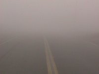 Driving in dense fog during the 2002 fog season.