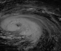 The National Climatic Data Center: Hurricane Fran - Satellite Image