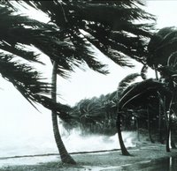 Hurricane waves striking sea wall, Image ID: wea00415, Historic NWS Collection.