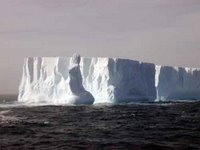 Huge tabular icebergs, calved from the ice shelf in the Southern Ocean's Weddell Sea. (Photo courtesy of Mike Vecchione.)