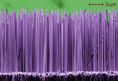 Caption: Growing, glowing nanowires, Credit: Lorelle Mansfield/NIST, Usage Restrictions: None.