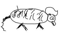 Draw A Pig - personality test
