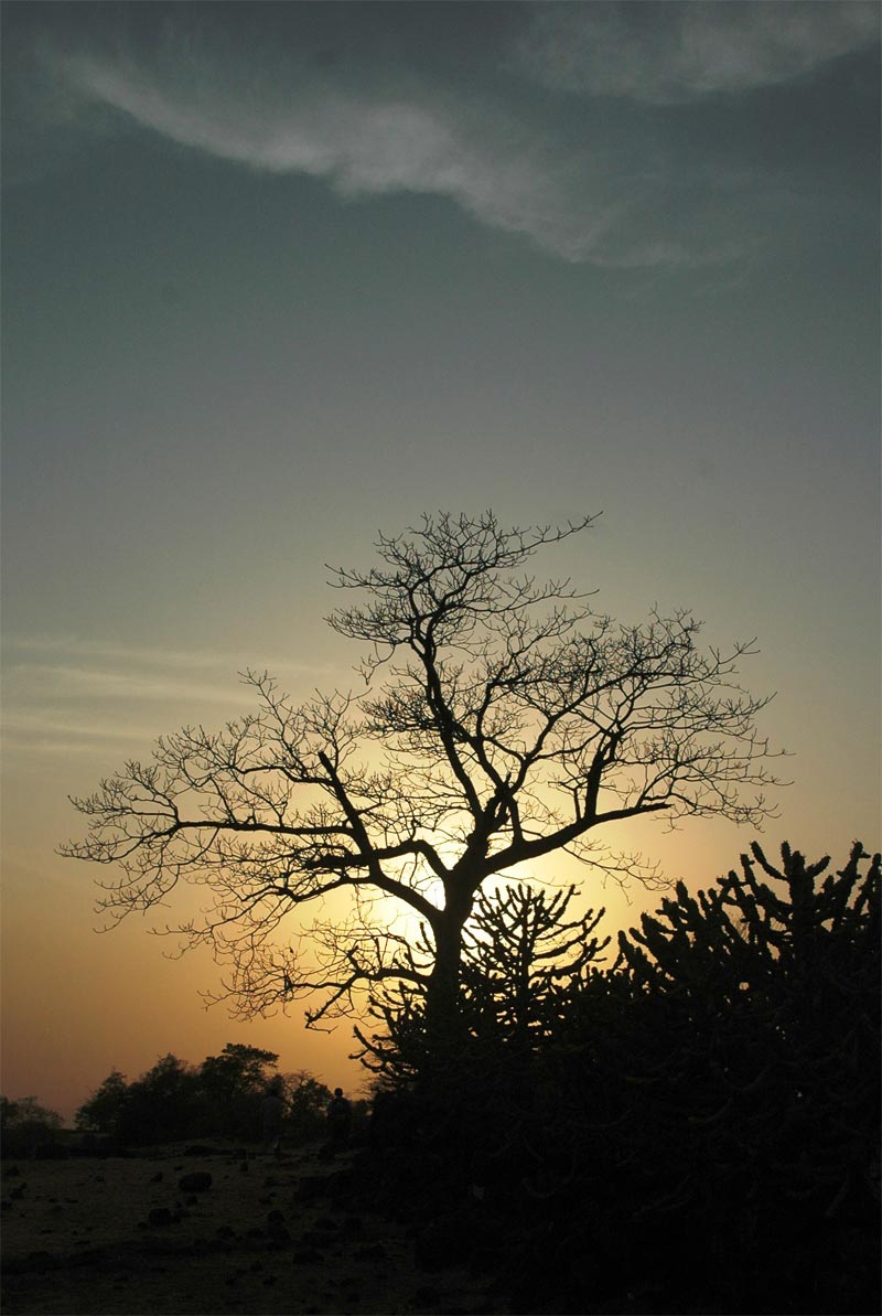 Sunset 1