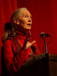Jane Goodall giving a lecture