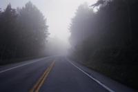 Adirondack fog
