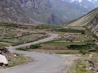 The road snakes through a valley towards the Baralachla, still below the tree line