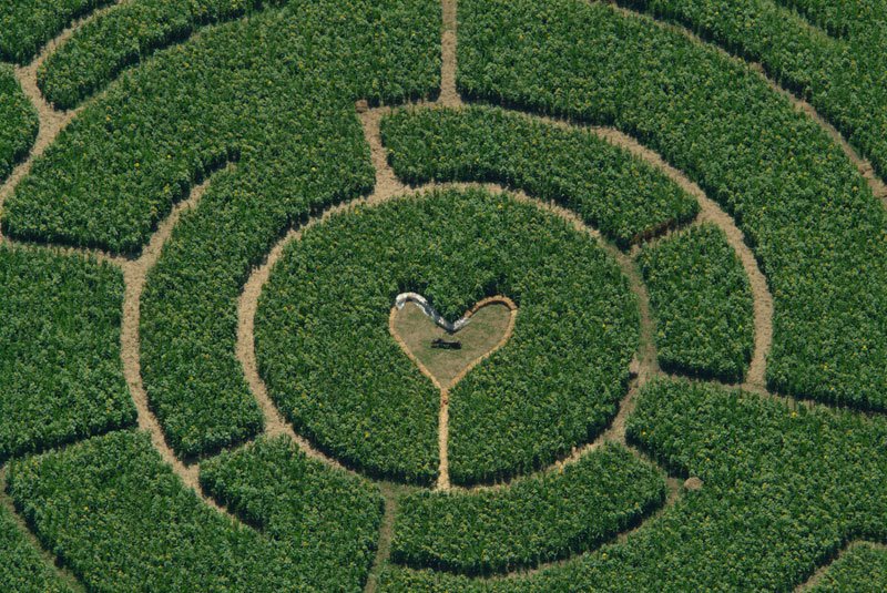 Corn labyrinth with heart