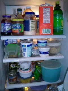 fridge shelves