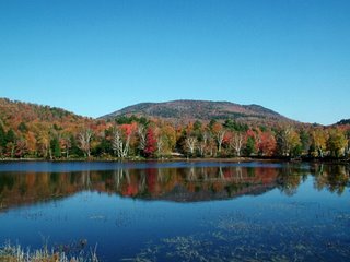 Adirondacks, Near Tupper Lake, NY - October 2005