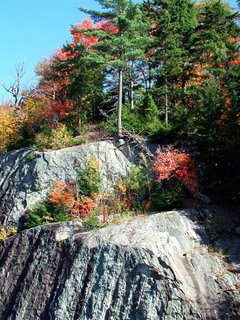 Rock Cut, Adirondacks, Rte 30 - October 2005