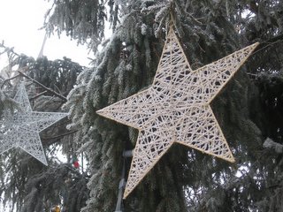 Christmas tree at Belarusian State University