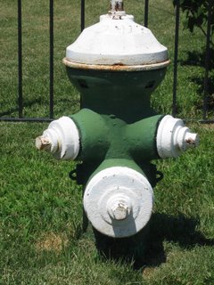Green and white fire hydrant