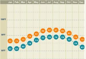 Petanque America: Miami weather in November?