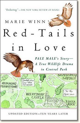 Red-Tails in Love : PALE MALE'S STORY--A True Wildlife Drama in Central Park by Marie Winn