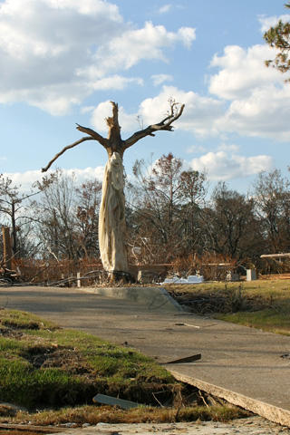 a found cross photo from the Katrina Response blog