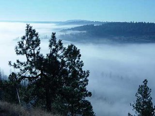 Hangman Valley Fog