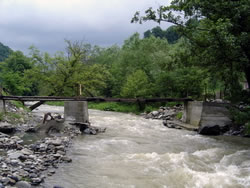 The bridge in 2005