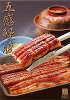 japanese eel