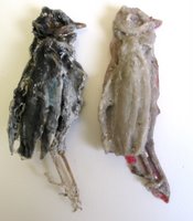 Thrush