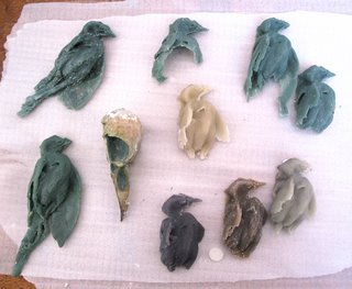 wax robins