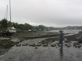 Stepping stones across Mylor Creek
