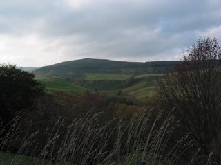 view just outside Lumsden