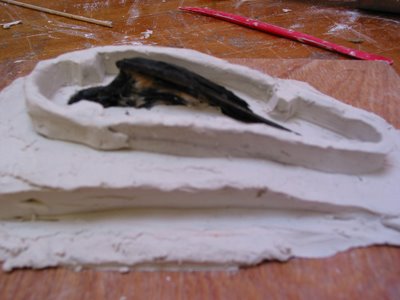 making a mould of a swallow