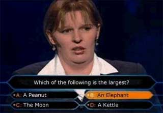 Clueless Dumbass