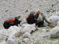 Expeditions Yak