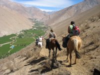 Pferdetrekk im Elqui-Tal
