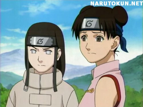 Lair Of The Anime Freak: Naruto Couples: Hyuuga Neji & Tenten
