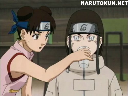 Lair Of The Anime Freak: Naruto Couples: Hyuuga Neji & Tenten