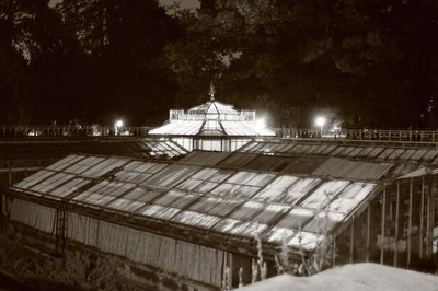 photo, les serres du jardin botanique à Liège, botanical garden, jardín botánico, botanischer Garten, copyright dominique houcmant, goldo graphisme