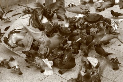photo pigeons, enfant, foto palombo foto porto, photo dominique houcmant, goldo graphisme