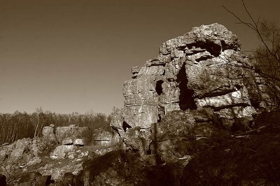 roc la tour, foret domaniale de chateau regnault, monthermé, photo dominique houcmant, goldo graphisme