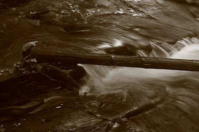 rivière, redu, ardennes, belgique, photo dominique houcmant, goldo graphisme