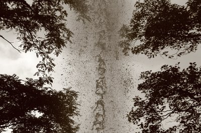 jet d'eau dans le parc de la boverie à Liège, copyright dominique houcmant, goldo graphisme