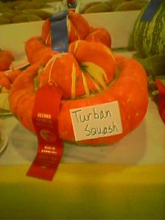 Turban Squash