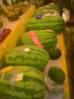 Ginormous watermelons