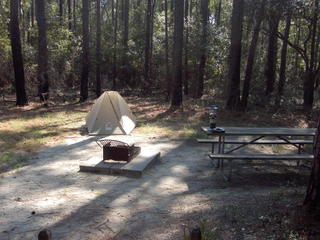 Camp Site 7