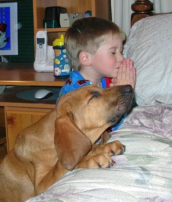 boy and dog pray
