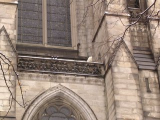 A peacock at St. John the Divine