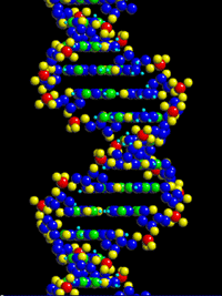 DNA COSMICO.